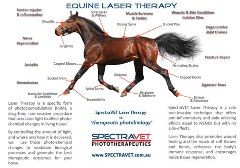 3spectravet Red Class 3b Laser Equestricare