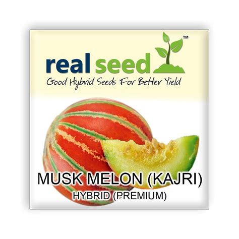 Musk Melon Kajri F1 Hybrid Imported Fruit Seeds Garden