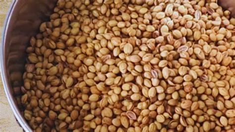 Coriander Powder Recipe Dhaniya Powder Mitar Cooking