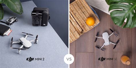 DJI Mini SE vs DJI Mini 2: Which Mini is Right For You? - DrDrone.ca