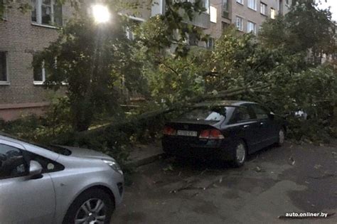 Ураган в Минске - Новости Беларуси - Хартия'97