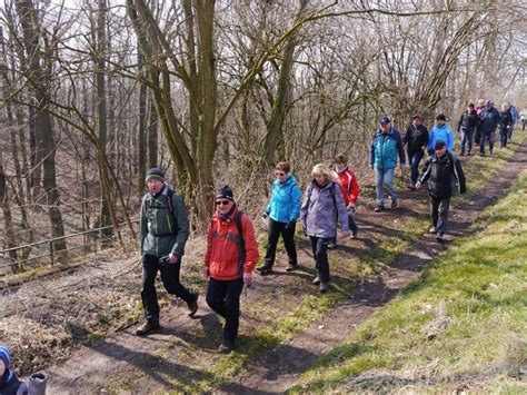 Wanderung Auf Dem S Chsischen Weinwanderweg Sv Elbland Coswig Mei En E V