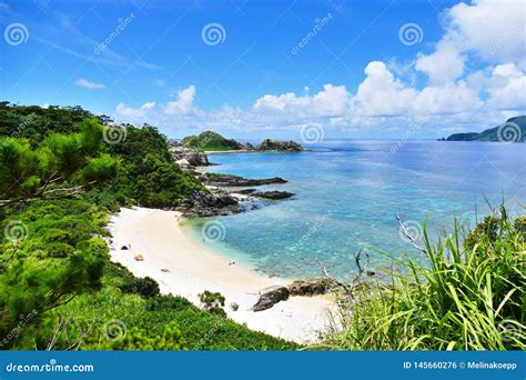 Tropical Paradise Of A Pristine White Beach Greenery Turquoise Sea