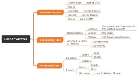 4 Types Of Concept Maps In 2024 Definition And Example