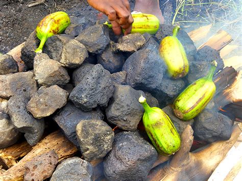 Anyone for some Lap-Lap ? | Vanuatu Cuisine | watt.nz