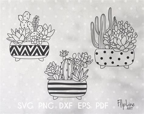 Boho Cactus Svg Bundle Plant Svg Cut File Succulent Clipart Etsy