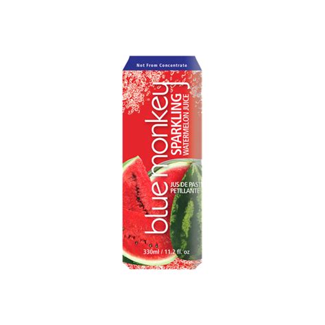 Blue Monkey Coconut Water, 330ml x 12 cans – Watermans.ca