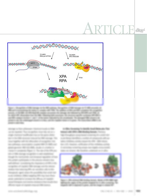 Solution Identification Of Novel Small Molecule Inhibitors Of The Xpa