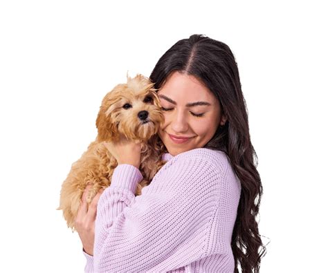 Wisdom Panel™ | World's most accurate dog DNA test service