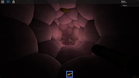 ROBLOX FOX ANAL VORE PLACE By Optional
