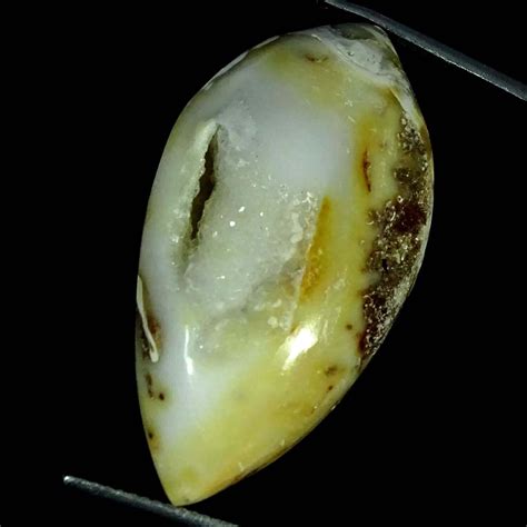 Natural Fossil Snail Agate Loose Gemstone Fancy Druzy 47 10 Cts