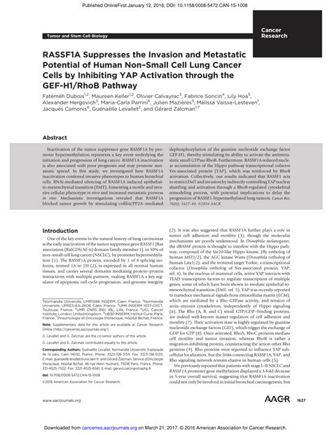 Pdf Rassf1a Suppresses The Invasion And Metastatic Potential Of Human