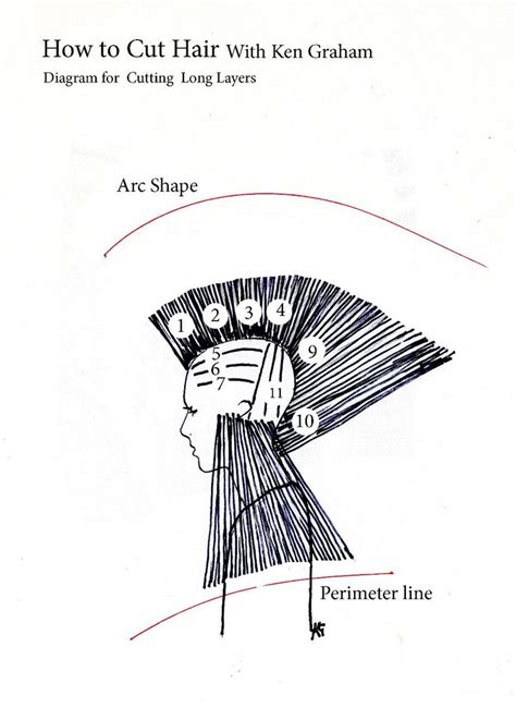 Hair Cutting Diagrams Template