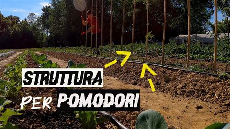 Come LEGARE I POMODORI Con Le CANNE Di BAMBU YouTube