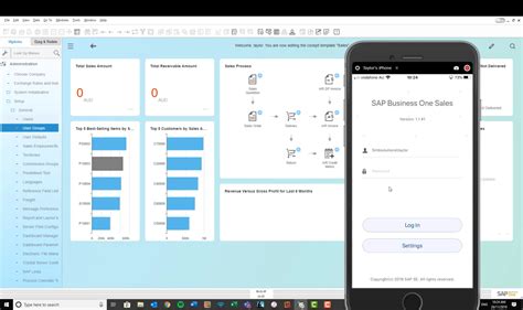 Using The SAP Business One Web Client Part Two Processing Sales Orders