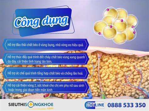 Onaka Pillbox [385.000đ] - Hỗ Trợ Đánh Tan Mỡ Bụng