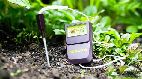 Кислотность почвы: таблица кислотности почвы для растений - Agro-Market