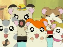 Hamtaro Eat Hamtaro Eat Cheese Discover Share GIFs