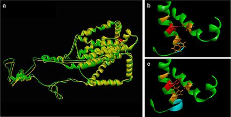 modeling   psen serphe variant   merge  wild type