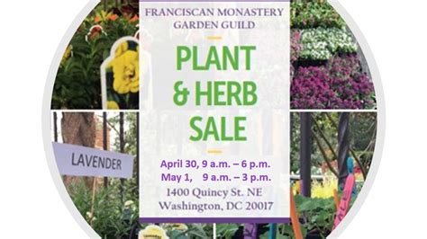 Franciscan Monastery Garden Guild Supporting The Gardens Of The