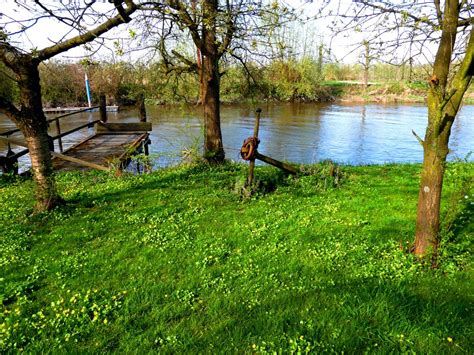 Free Images Landscape Tree Water Nature Grass Swamp Lawn