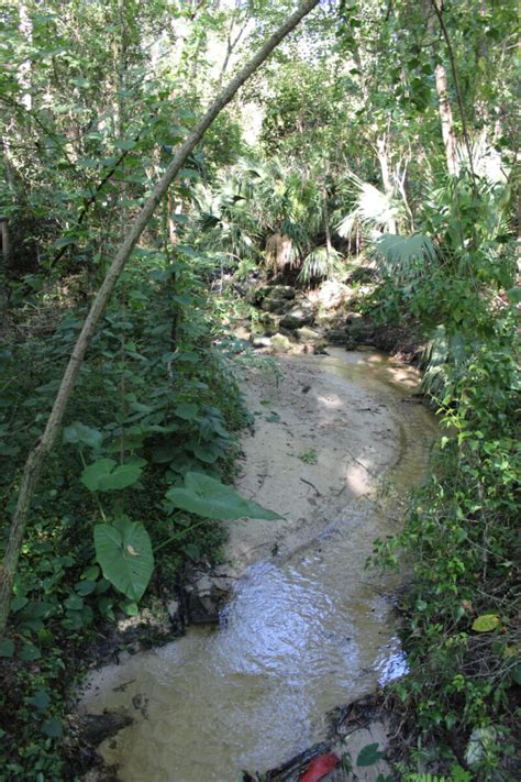 Cw Quail Ridge Creek Gainesville Creeks