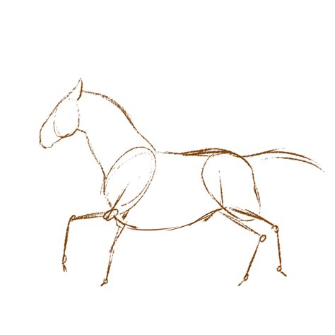 Horse Gallop Animation By Alphawolfrkn On Deviantart