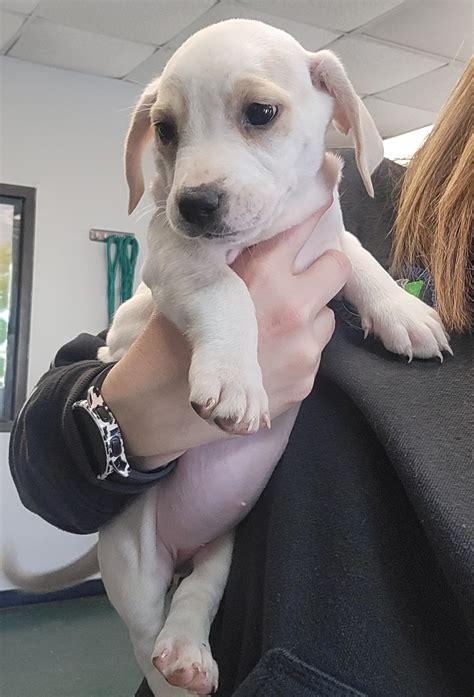 This rowan county inmate search revealed a surprising high-profile arrest 23