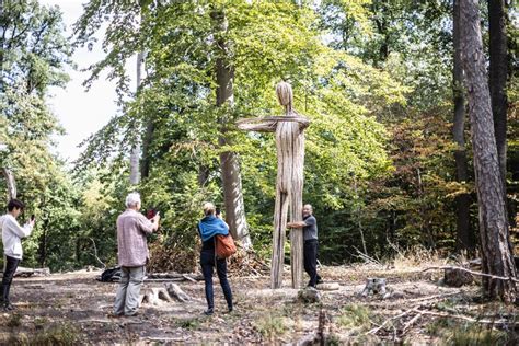 Darmstadt Kunst Im Wald Ganz Ohne Eintritt