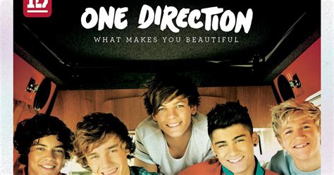 iTunes Music: [What Makes You Beautiful] - [Single Album]