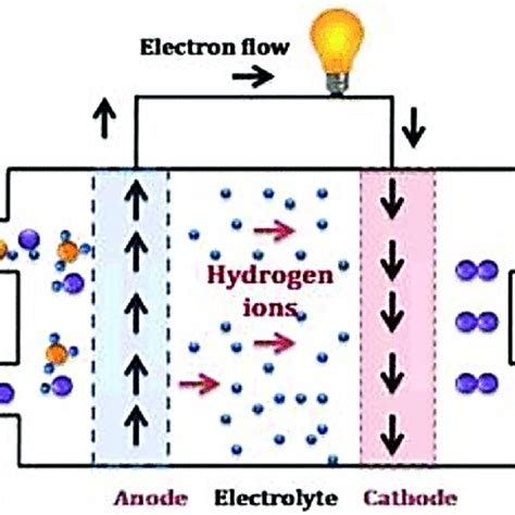 DMFC schematic [11]. | Download Scientific Diagram