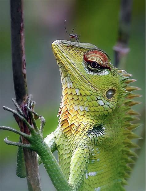 How much does a zoologist make in this economy 1