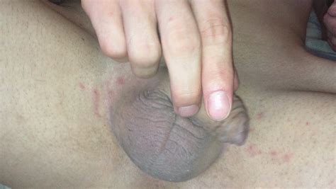 Sissy Mo Rides A Big Dildo Sissy Slut Mo Hangout Clips Sale