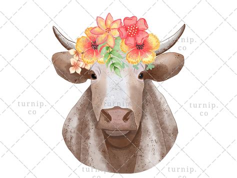 heifer clipart 10 free Cliparts | Download images on Clipground 2024