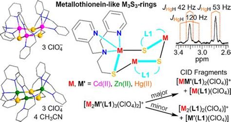 同核和异核 12 族金属硫蛋白 B 型簇类似物：合成、结构、1h Nmr 和 Esi Ms Inorganic Chemistry X Mol