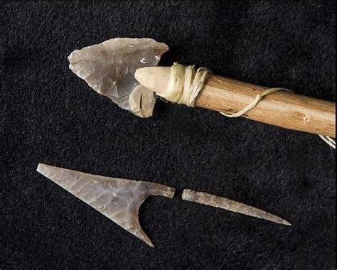 Delicate 5000 Year Old Flint Arrowhead Could Be The Work Of A Stone