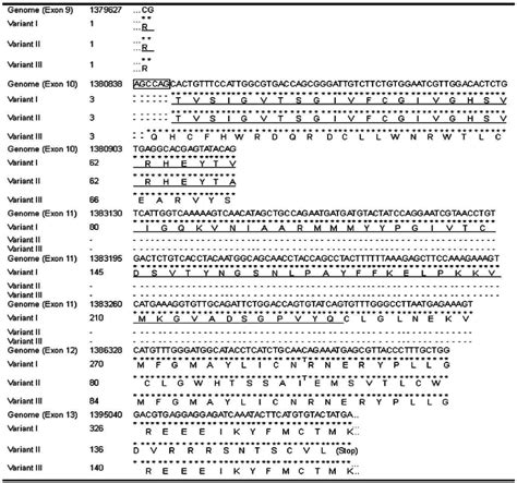 Multiple Alignment Of Nucleotide Sequences And Amino Acid Sequences