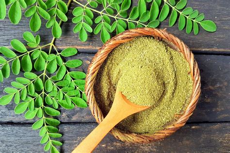 Moringa The New Superfood That S Trending Among Wellness Types The