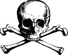 skull  crossbones  stock photo public domain pictures