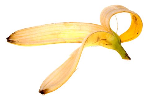 Casca De Banana Tropical Png Macro Detalhes Peles Png Imagem Para