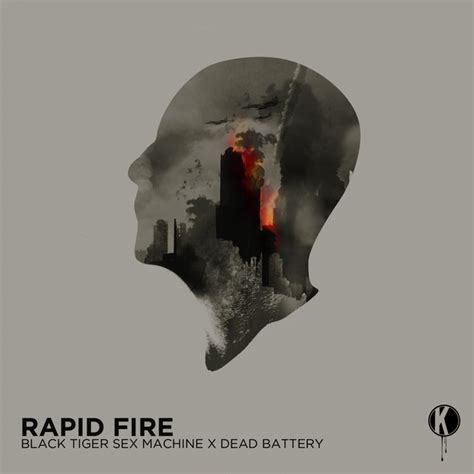 Rapid Fire By Black Tiger Sex Machinedead Battery On Mp3 Wav Flac