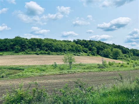 Hillcrest Wildlife Management Area - West Virginia Public Land • West