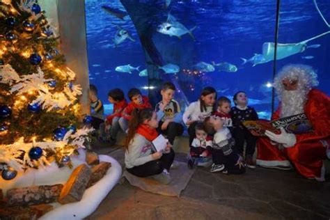 Gardaland Magic Winter Divertimento Di Natale Per Famiglie