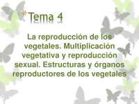 La reproducción de los vegetales Multiplicación vegetativa y