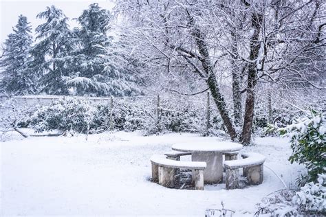 14 Gouden Tips Om De Tuin Winterklaar Te Maken MOOWY