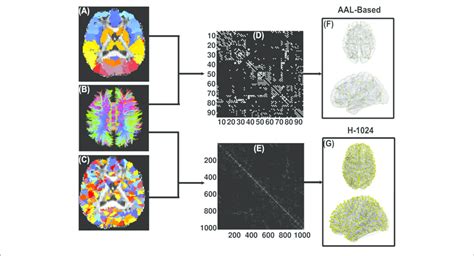 Flow Chart Of The Dti Based Wm Brain Network Construction A And Download Scientific