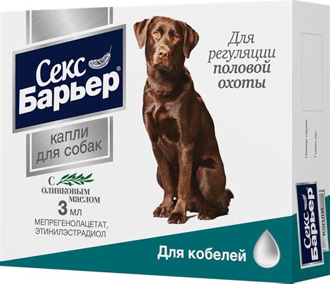 Секс Кукла для Собак – купить в интернет-магазине OZON по выгодной цене