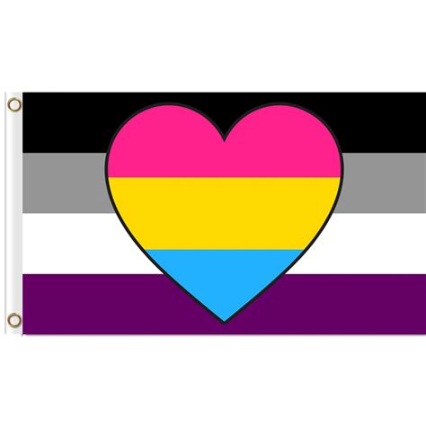 Asexual Panromantic Combo Flag X Ft Printed Polyester Large Gay Pride Lgbt Flag In Flags