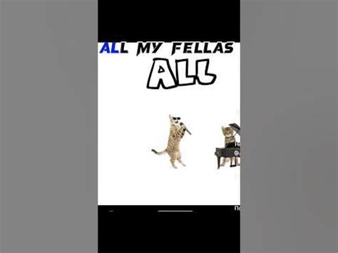 All My Fellas MemЕ Meme Cats Allmyfellas Youtube