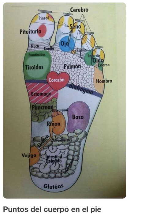 Reflexología Podal Qué Es Y Cuáles Son Sus Beneficios Artofit